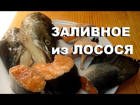 Видео: Заливное из Семги без Желатина Вкусный Холодец из Головы Лосося