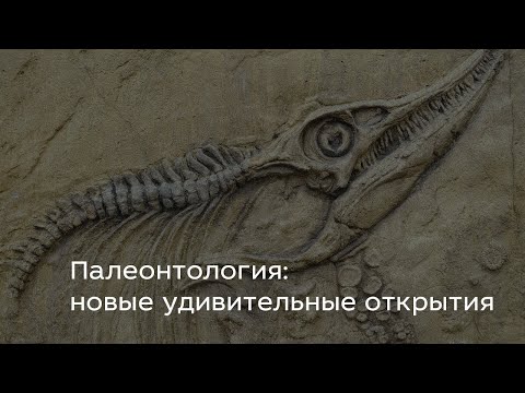 Видео: Палеонтология: новые удивительные открытия - Яна Шурупова