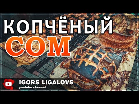 Видео: Копчёный сом.Как коптить сома.Коптим вкусно сома по домашнему.Отличный рецепт