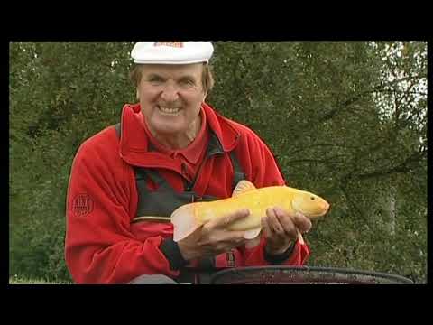 Видео: БОБ НАДД НА ГРУБОМ - Эпизод 4 - Золотой Орф и Линь