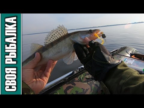 Видео: Рыбалка на Иваньковском водохранилище, отчёт о рыбалке