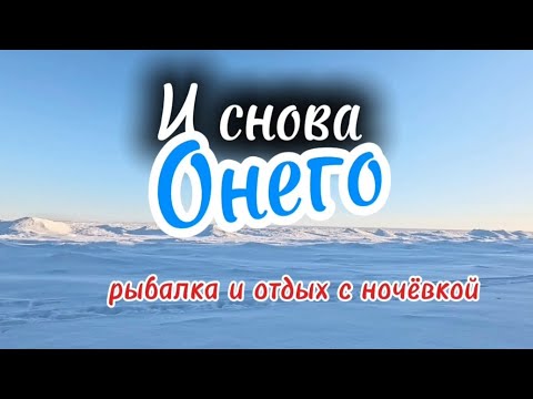 Видео: И снова Онего зимняя рыбалка