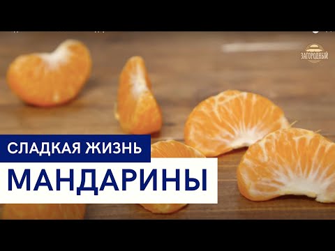 Видео: Мандарины \ Рецепты \ Желе и соус из мандарина \ Сладкая жизнь