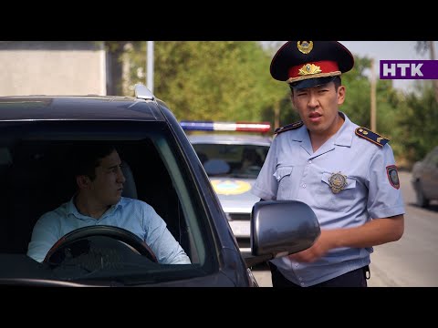 Видео: Патруль - Встань на колени и проси прощения, баран!