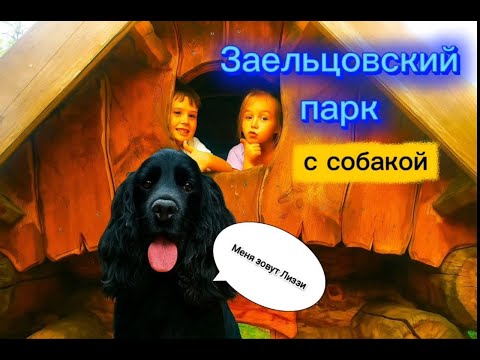 Видео: Знакомим с нашей собакой.Заельцовский парк.Попали под град.Верёвочный парк.Едим дикие ранетки.