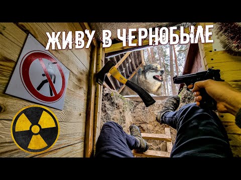 Видео: Ремонт дома под землей в Чернобыле. Волки рвутся в землянку. Картошка с грибами в печи