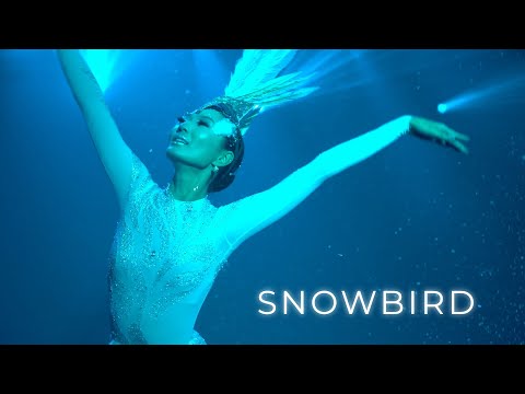 Видео: ТЕАТР «БАЙКАЛ»: SNOWBIRD