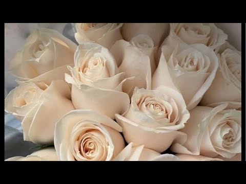 Видео: Его мысли о Вас,чувства,намерения.