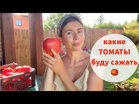 Видео: ТОМАТЫ, которые снова буду выращивать в этом году