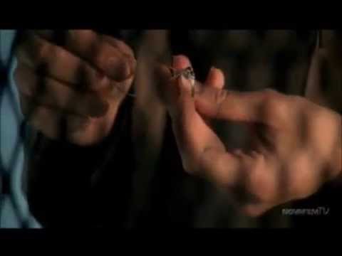 Видео: Касл и Беккет / Castle & Beckett