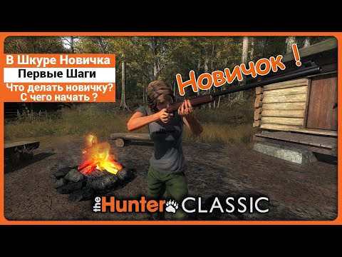 Видео: С чего начать в theHunter Classic | В Шкуре Новичка