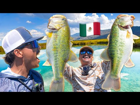 Видео: Мой лучший день рыбалки за много лет (Приключения в Мексике, Эпизод 2)