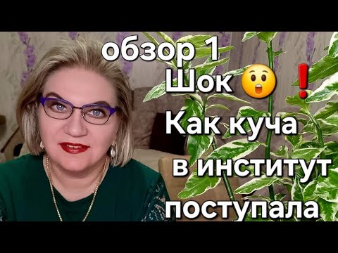 Видео: Шок 😲❗️Как куча в институт поступала