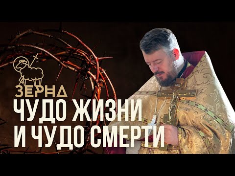 Видео: Чудо жизни и чудо смерти