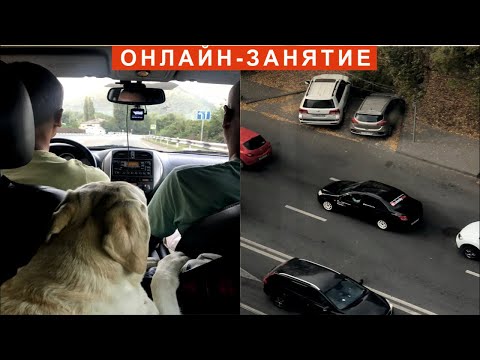 Видео: Онлайн-занятие! Тема: Психология вождения. Ответы на вопросы!