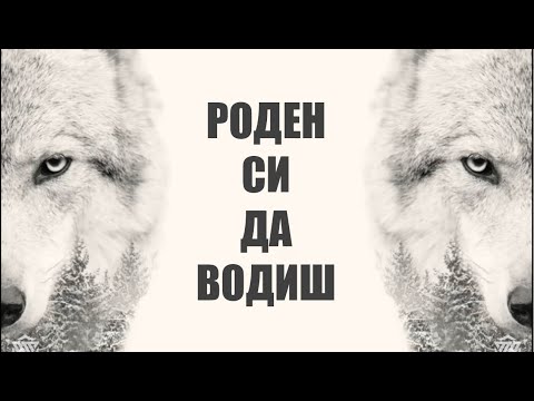 Видео: Вълк единак - Мотивиращ клип (Води глутницата)