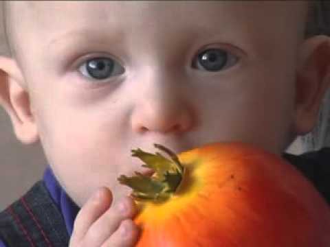 Видео: Сюжет "Ищу маму"