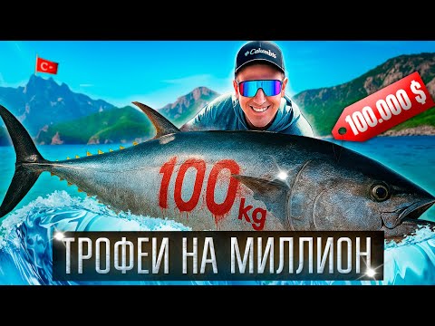 Видео: Рыбалка на 100.000$ началась!  ► Трофейный Голубой Тунец у берегов Турции? ► Турция 2025