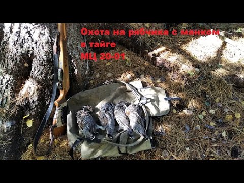Видео: Охота с манком на рябчика в тайге МЦ 20 01