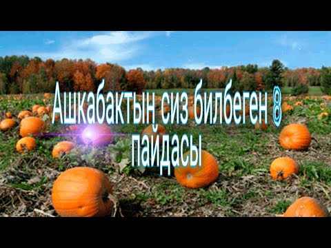 Видео: АШКАБАК ЖЕСЕН -  ООРУНУ УНУТАСЫН!!!