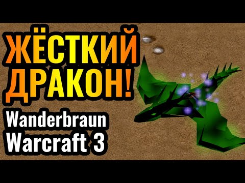 Видео: Wanderbraun нанял ДРАКОНА 10 уровня в Warcraft 3 Reforged