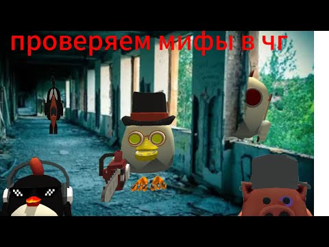 Видео: Проверяй мифы в чикен ган😨