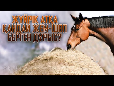 Видео: АТБЕГІ ЖҮЙРІК АТТЫҢ АЗЫҒЫ ТУРАЛЫ АЙТТЫ❗🐎 - Жылқы Жайлы