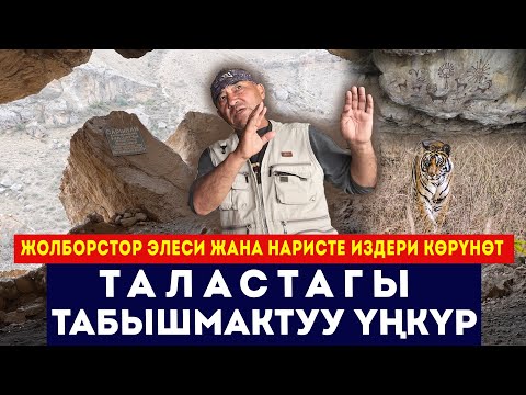 Видео: Жолборстор элеси жана наристе издери көрүнгөн үңкүр // Талас / Бакай-Ата // Сокол Медиа