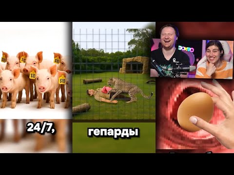 Видео: РЕАКЦИЯ на Тик Ток и Ютуб Шортс #30 Премия ДАРВИНА