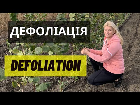 Видео: Дефолиация