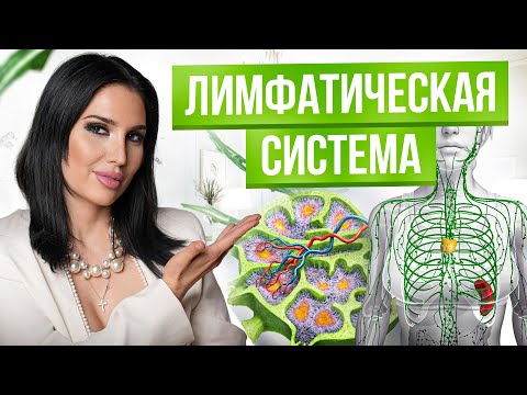 Видео: СМОТРЕТЬ ВСЕМ! 7 способов очистить лимфу без таблеток