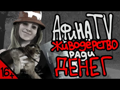 Видео: [ 16+ ] АфинаTV: Живодёрство ради денег