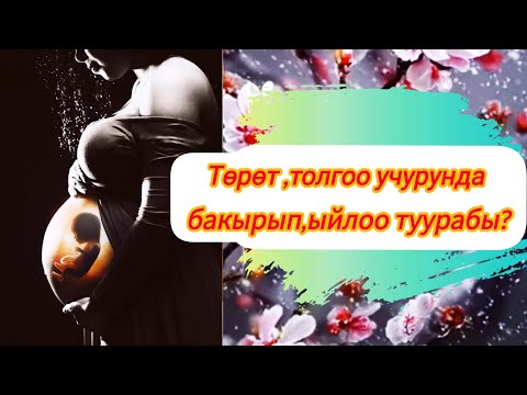 Видео: Төрөт жана толгоо учурунда ыйлоо,бакыруу туурабы?