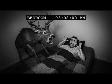 Видео: ЭТОТ МОНСТР 99 НОЧЕЙ ПРОНИКАЕТ в МОЙ ДОМ НОЧЬЮ в РЕАЛЬНОЙ ЖИЗНИ!!