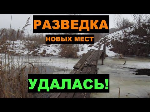 Видео: ОТЛИЧНЫЙ коп на новых местах 2019! Поиск монет с XP DEUS