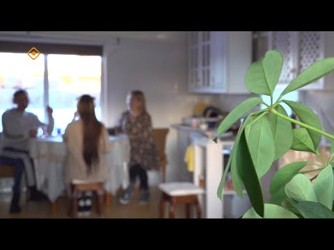 Видео: Эргэ дьиэни тупсаран оҥостуу. Феоктист Сысолятин сүбэлэрэ