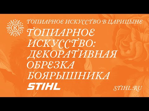Видео: Декоративная обрезка боярышника