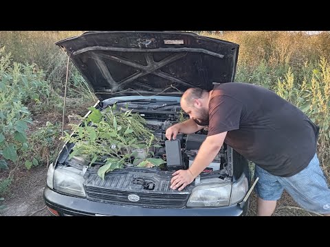Видео: Оживление Брошенной  TOYOTA CORONA. на 10 лет про неё забыли !!!