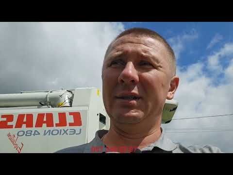 Видео: Claas Lexion 480 - детальний огляд
