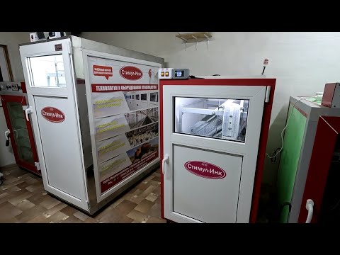 Видео: Выбор инкубатора/Стимул-500/Первое включение