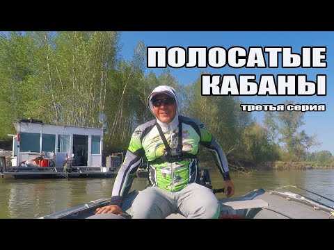 Видео: Хаусбот Houseboat Кайфоход. Полосатые кабаны. Каша для сазана. Резня бензопилой. Финишная швартовка.