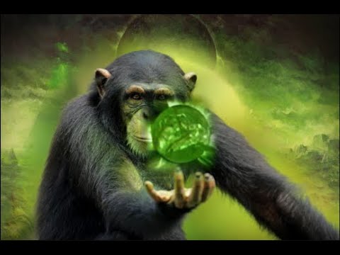 Видео: 3х3 Турнир STS Cup 5 Dawn of War Definitive Edition