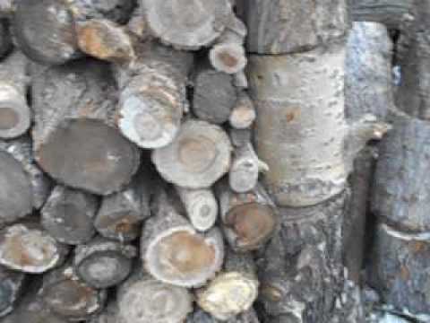 Видео: Разговор про самодельный колун