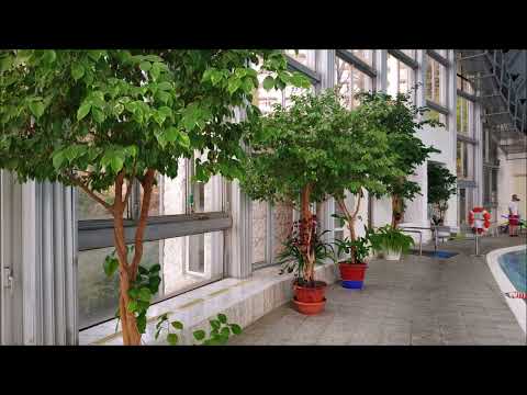 Видео: 30 октября 2025 г.