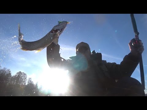 Видео: Лемболовское озеро. Рыбалка 22.10.25.