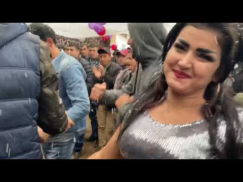 Видео: Дегаи ЧОН