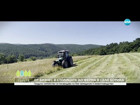 Видео: Да хванеш гората (26.05.2024)