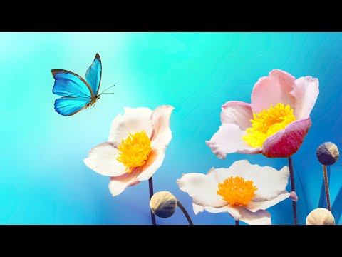 Видео: 3 часа расслабляющей утренней музыки 🎵 музыка медитации, йога, музыка для снятия стресса(Day By Day)