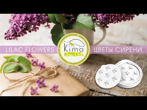 Видео: Миниатюрные цветы сирени