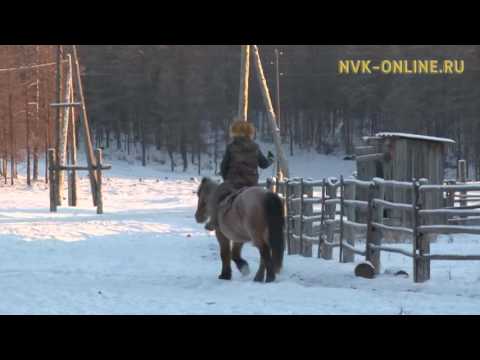 Видео: Уус Алдан улууһун Тиит Арыы нэһилиэгэ төрүт аатын төнүннэрэр  (30.11.2016)